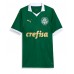 Camiseta Palmeiras Estevao Willian #41 Primera Equipación Replica 2024-25 mangas cortas